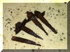 Halcyons' original wasted keel bolts
