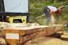 S130 - Converting the oak log for the stem and apron