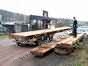 S130 - Iroko logs arrive on site